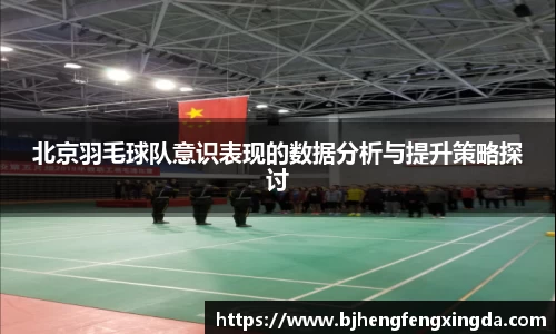 北京羽毛球队意识表现的数据分析与提升策略探讨
